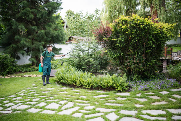 Best Wasp Removal Services  in West Ack, NY