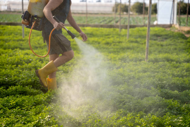 Best Ant Control Services  in West Ack, NY