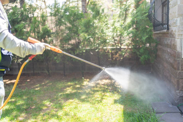 Best Pest Inspection Near Me  in West Ack, NY