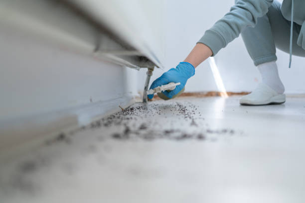 Best Mosquito Control Services  in West Ack, NY