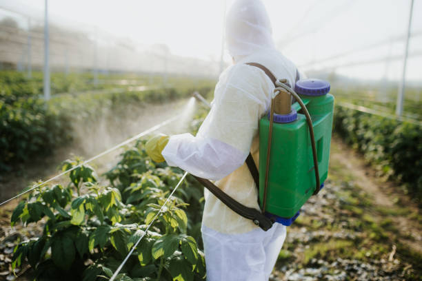 Best Bed Bug Extermination  in West Ack, NY